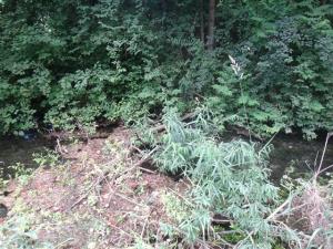 Takoimenovani čepi zavirajo vodni pretok.